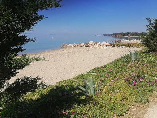 Porto Almira Beachfront Apartments Nikiti  Exteriér fotografie